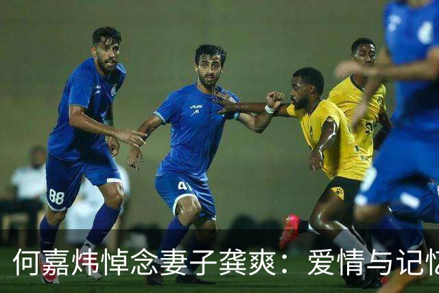 何嘉炜悼念妻子龚爽：爱情与记忆交织的八年
