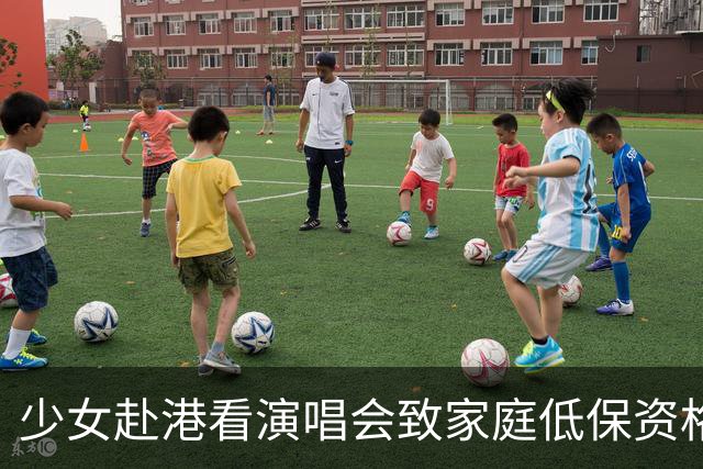 少女赴港看演唱会致家庭低保资格被取消引发讨论