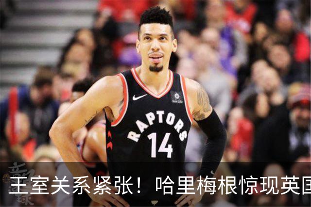 王室关系紧张！哈里梅根惊现英国，威廉与弟弟尚未和解